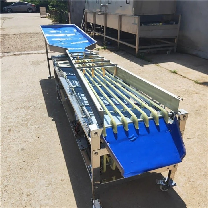 Date Olive Cherry Grading Sorting Machine