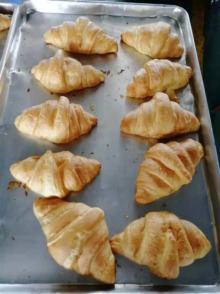Small Croissant Making Machine