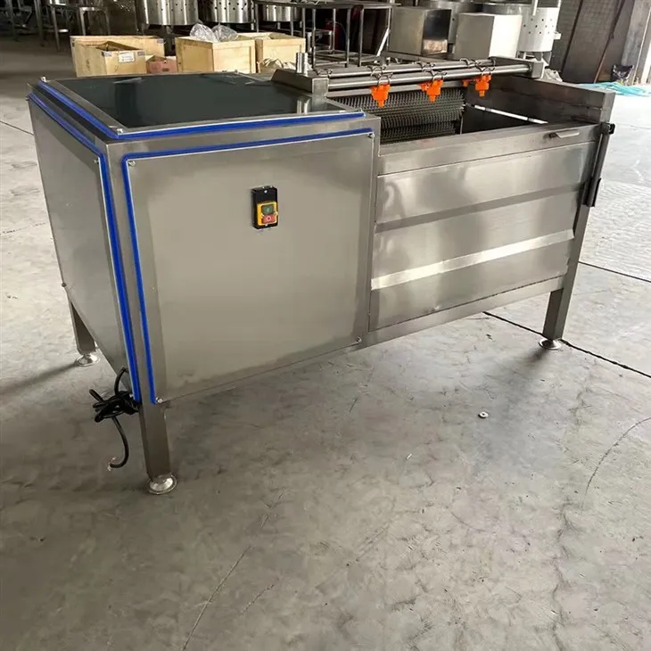 Brush Type Fruit And Vegetable Washing Machine