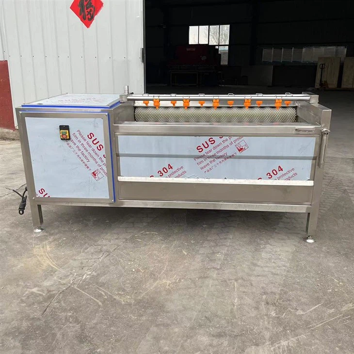 Brush Type Fruit And Vegetable Washing Machine