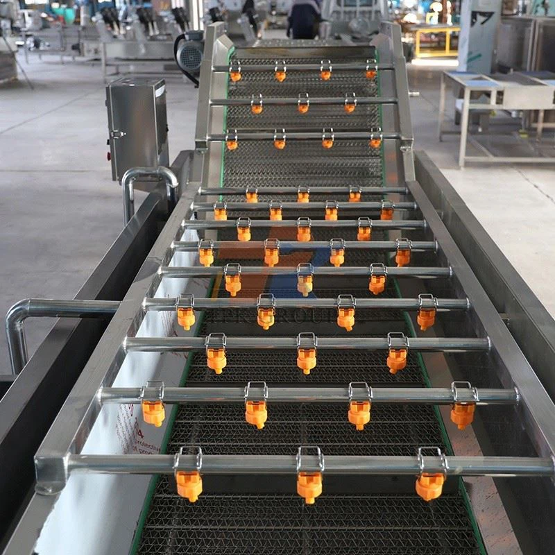 Fruit Vegetable Line (21)