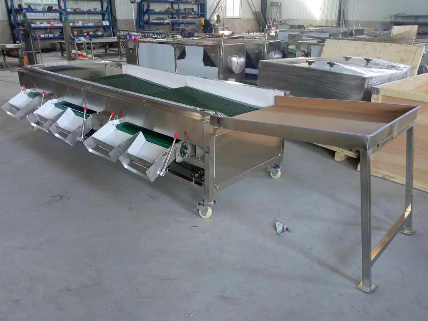 blueberry sorter 3 blueberry sorter 3