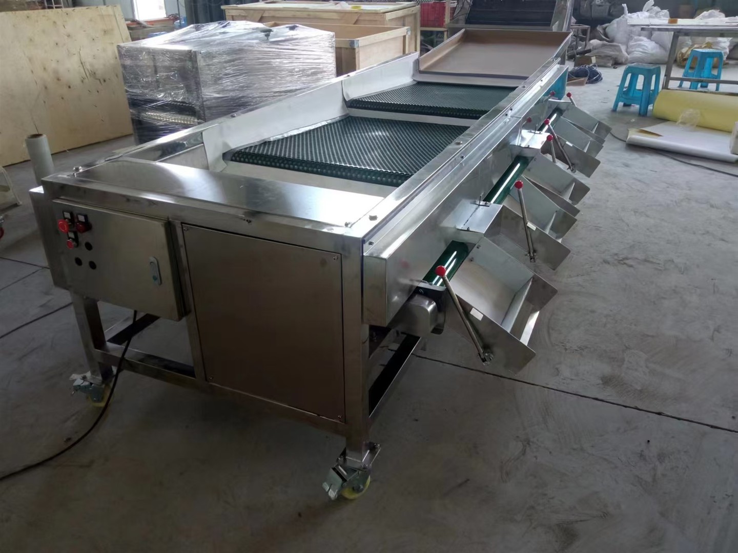blueberry sorter 5 blueberry sorter 5
