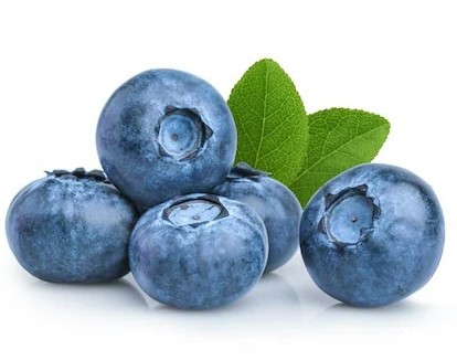 blueberry 1 blueberry 1