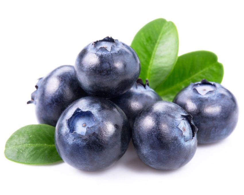 blueBerry2 blueBerry2